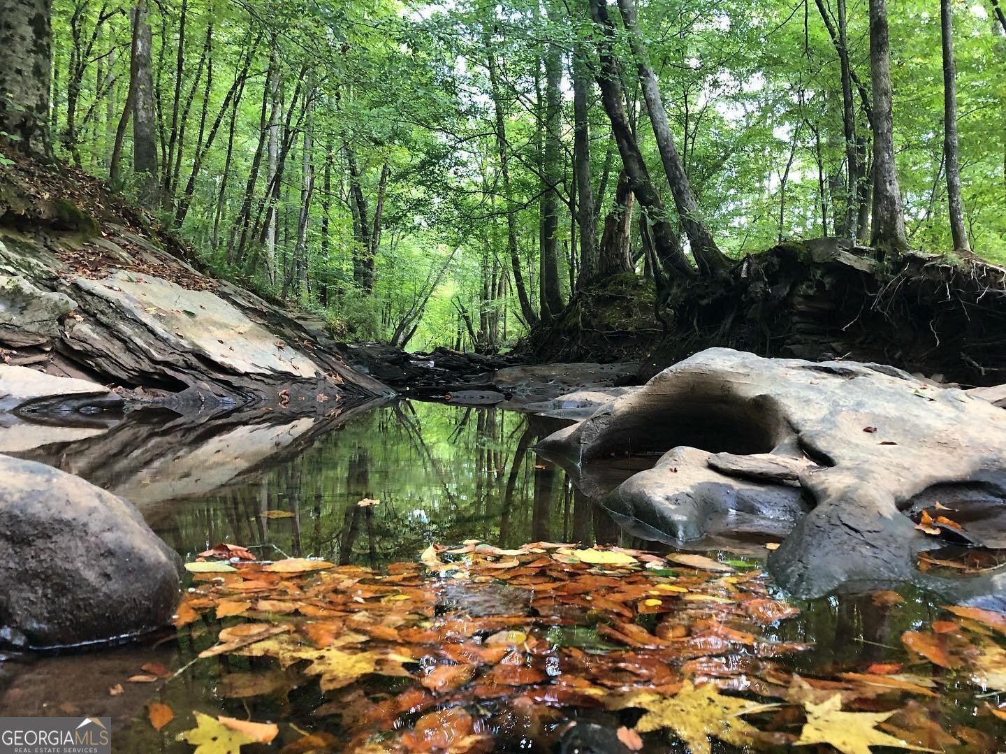 5816 Gabbro Court Lithia Springs - Photo 33