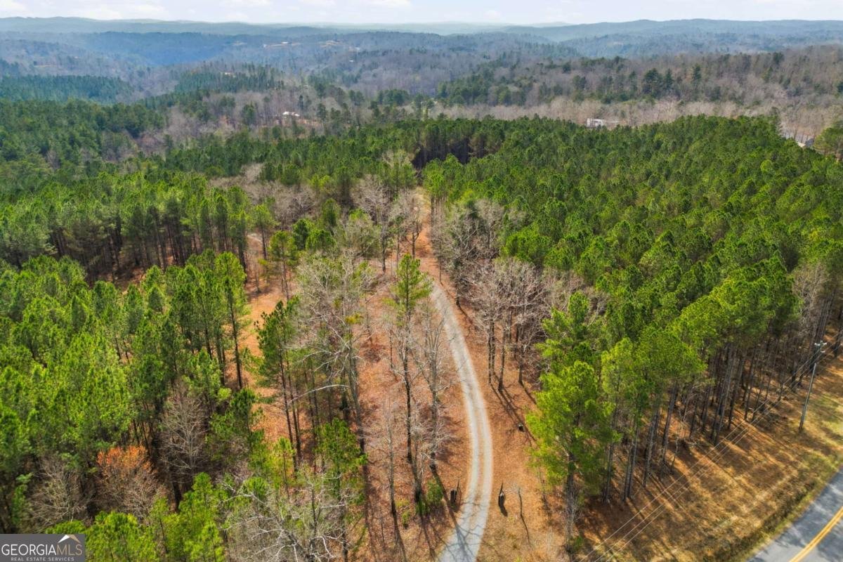 1215 Crossroads Church Road Ellijay - Photo 79