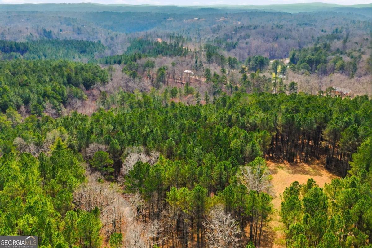 1215 Crossroads Church Road Ellijay - Photo 80