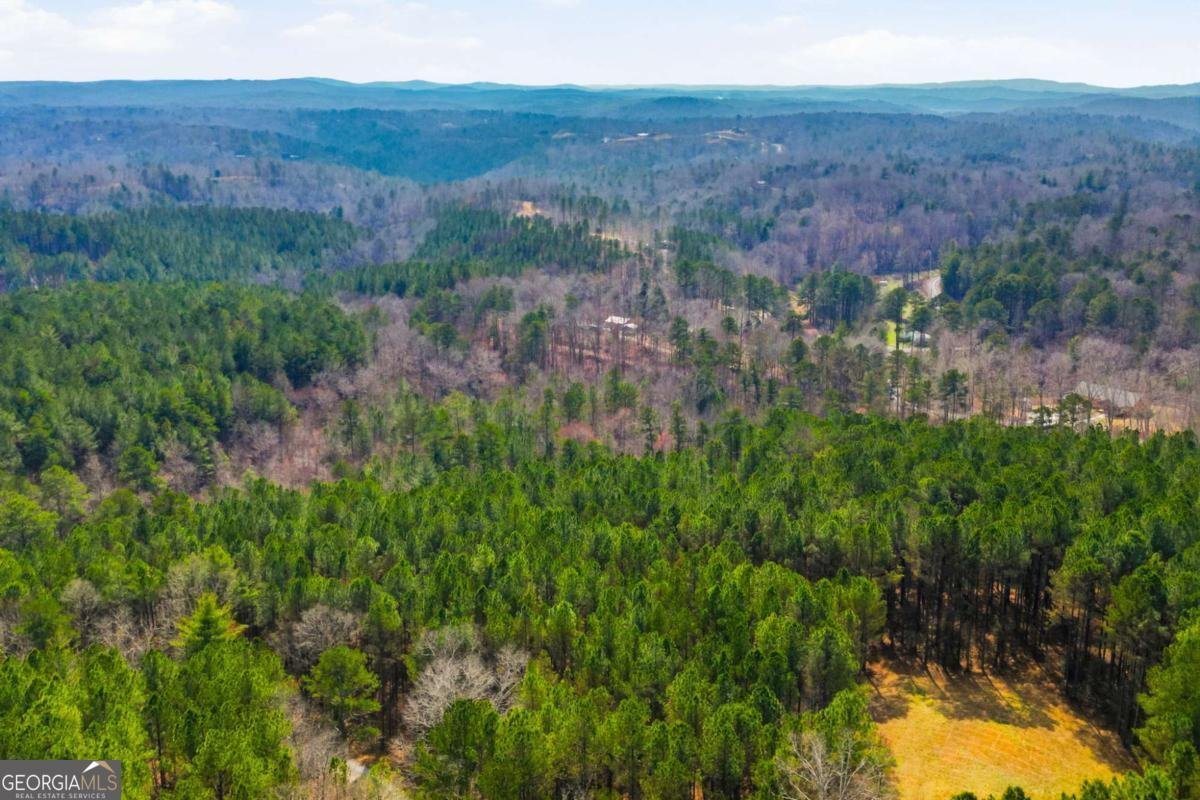 1215 Crossroads Church Road Ellijay - Photo 81