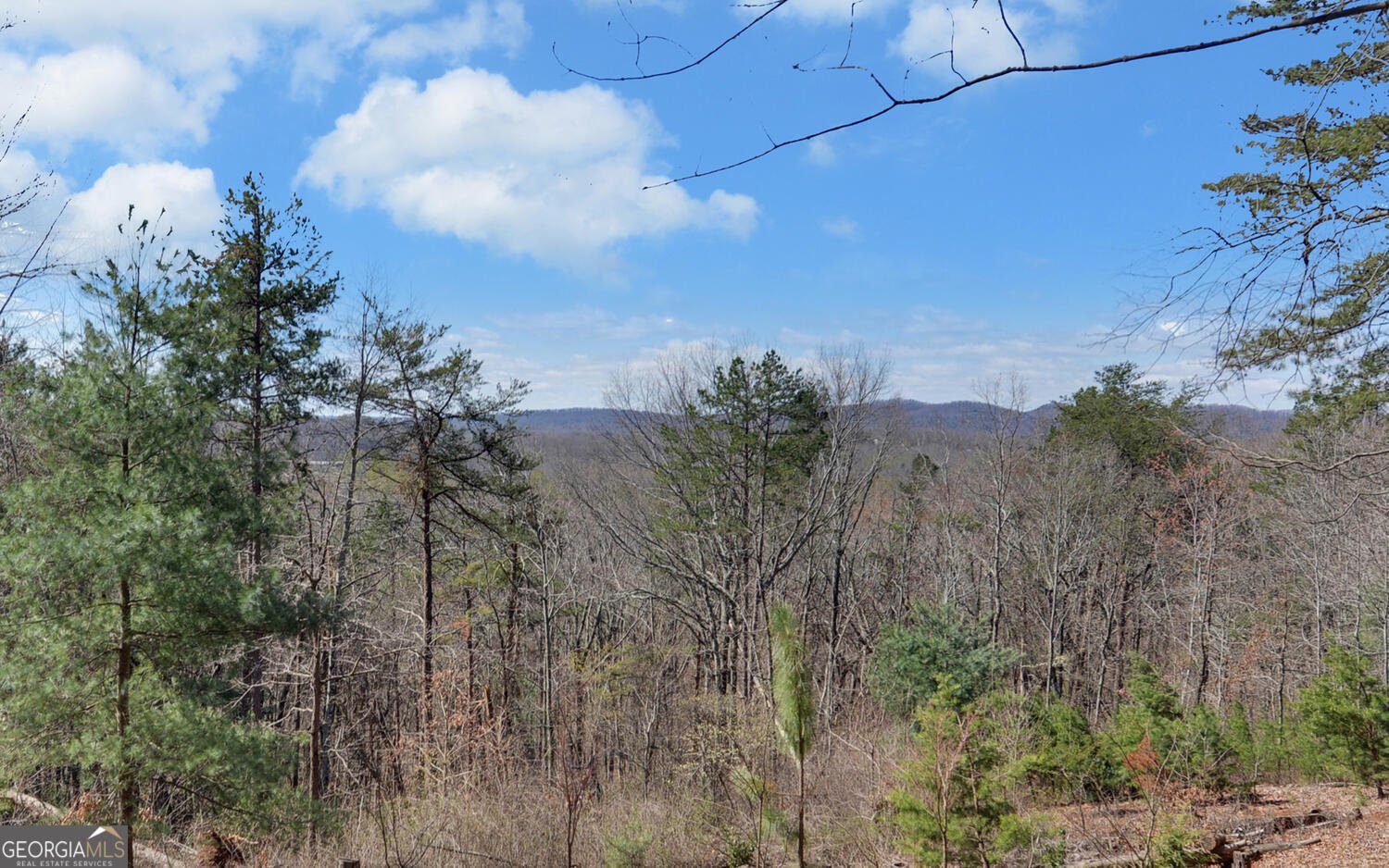 1492 Ivy Mountain Road Clarkesville - Photo 37