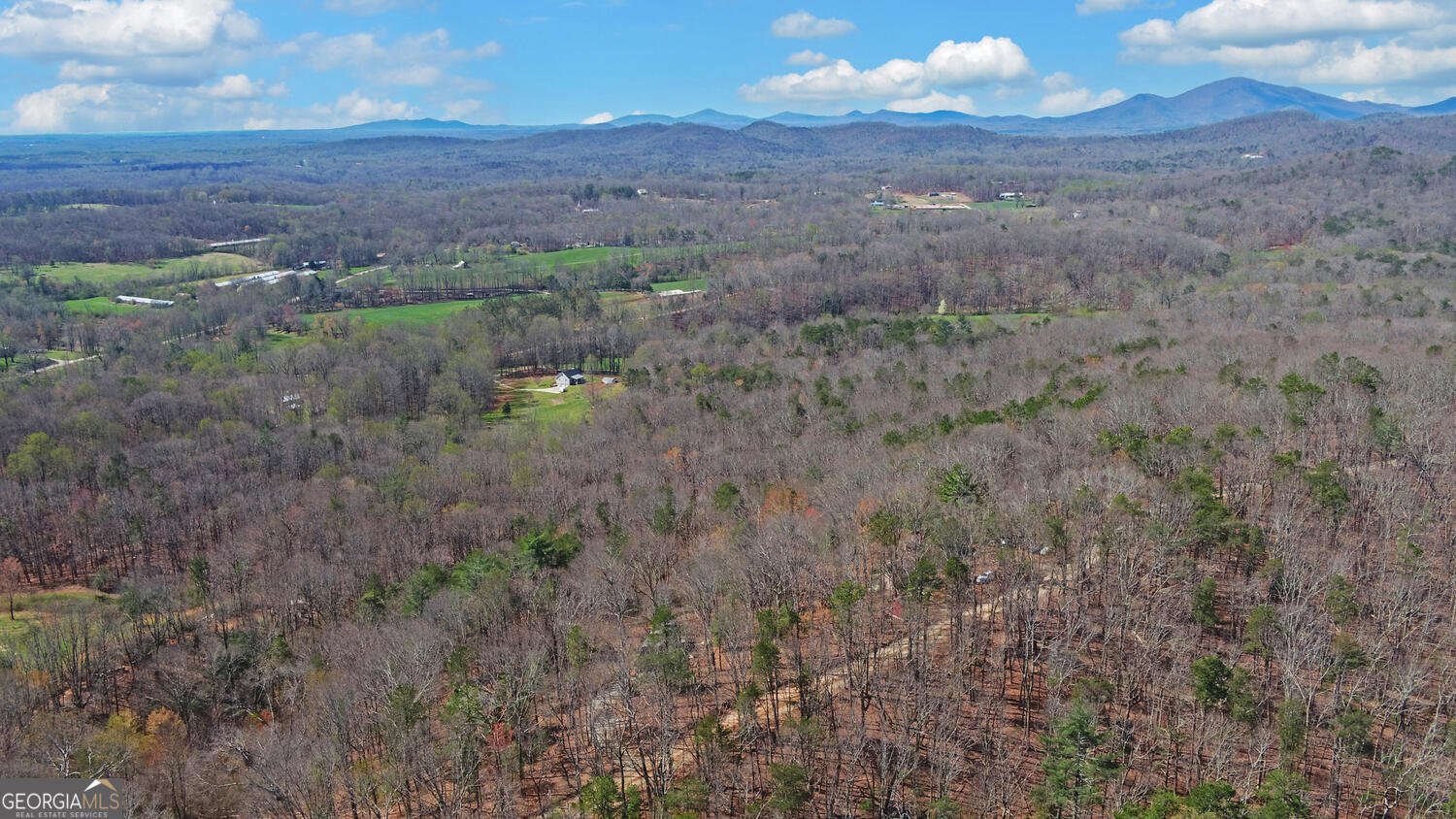1492 Ivy Mountain Road Clarkesville - Photo 38