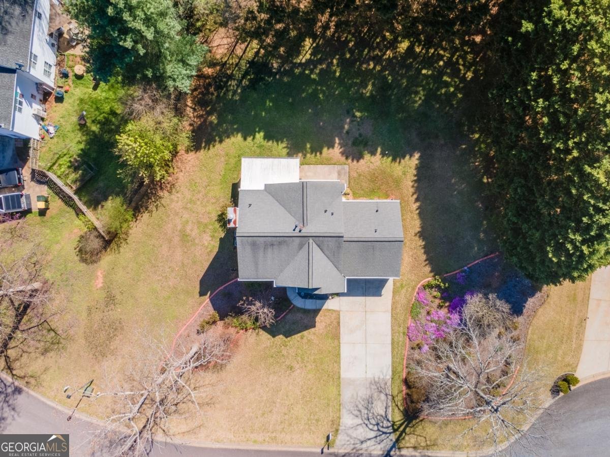 6535 Glen Pond Trace Cumming - Photo 49