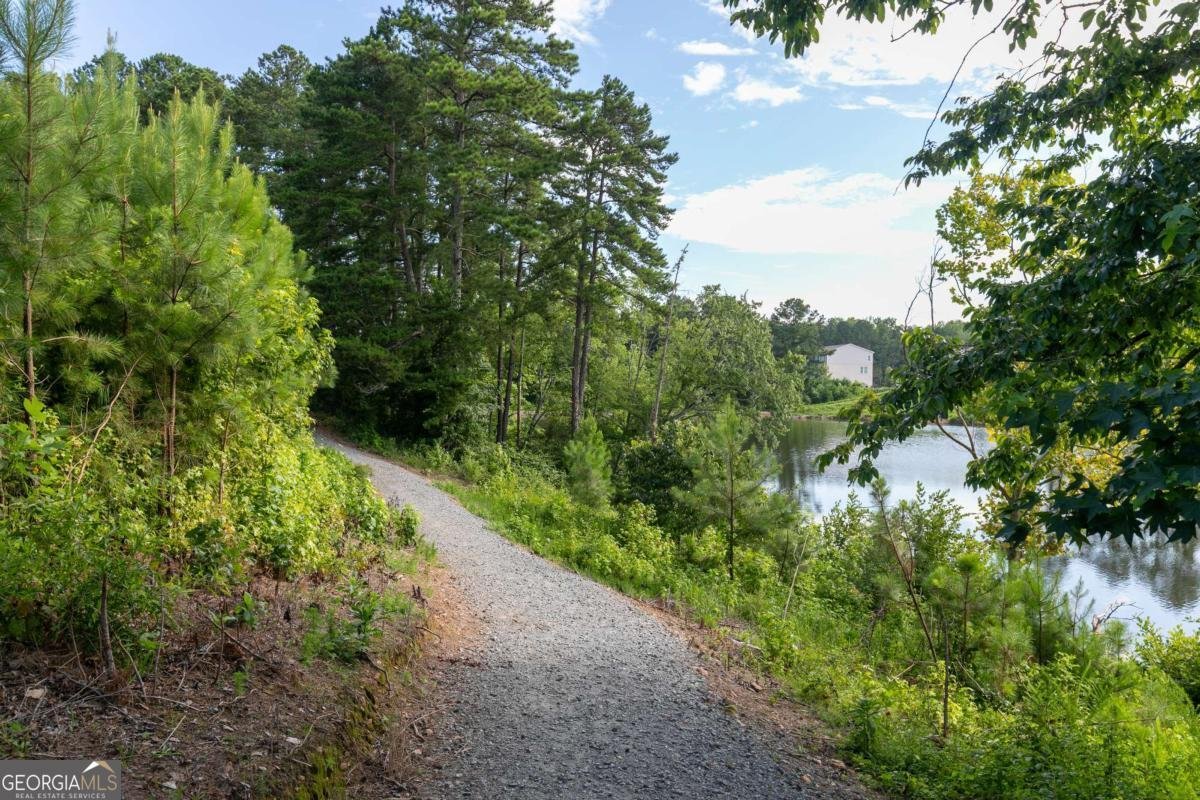 317 Brighton Bend Lane Acworth - Photo 29