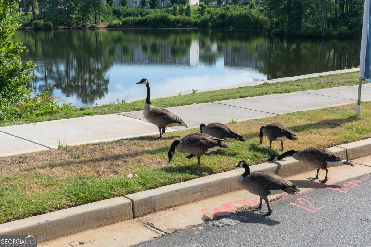 317 Brighton Bend Lane Acworth - Photo 34