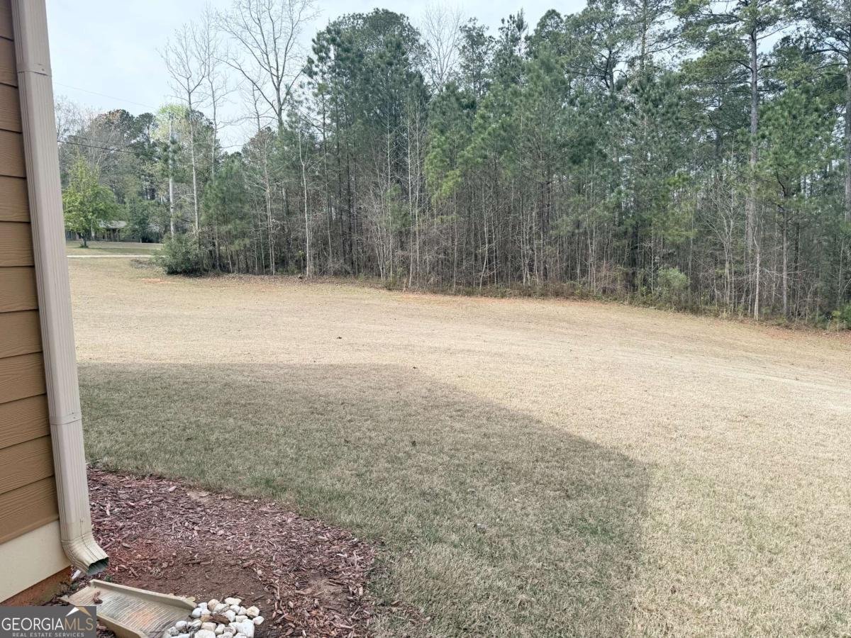 160 Hickory Lane Covington - Photo 49