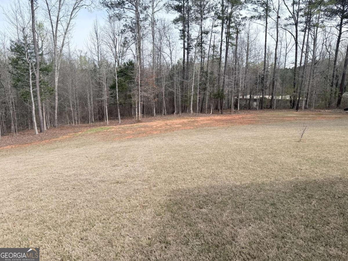 160 Hickory Lane Covington - Photo 50