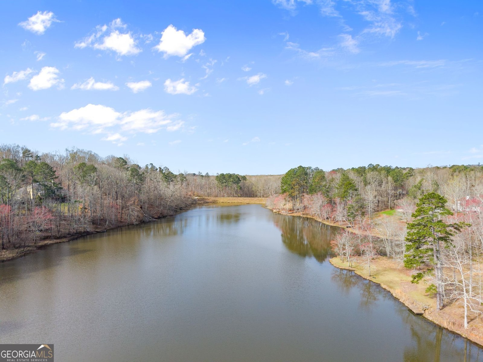 7691 Nicholson Road Cumming - Photo 59