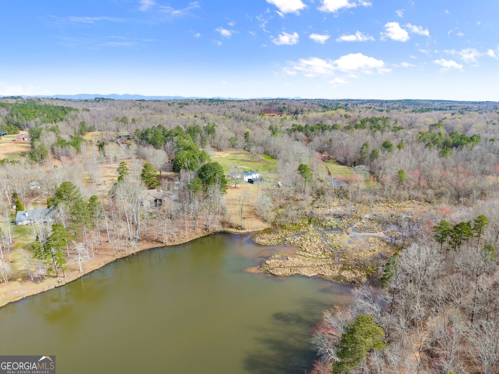 7691 Nicholson Road Cumming - Photo 61