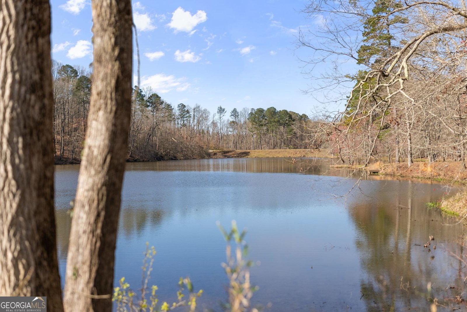 7691 Nicholson Road Cumming - Photo 87