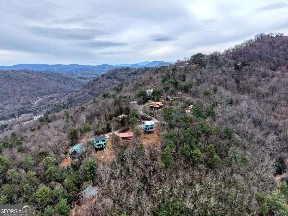 11 Soaring Eagle Lane Clayton - Photo 39