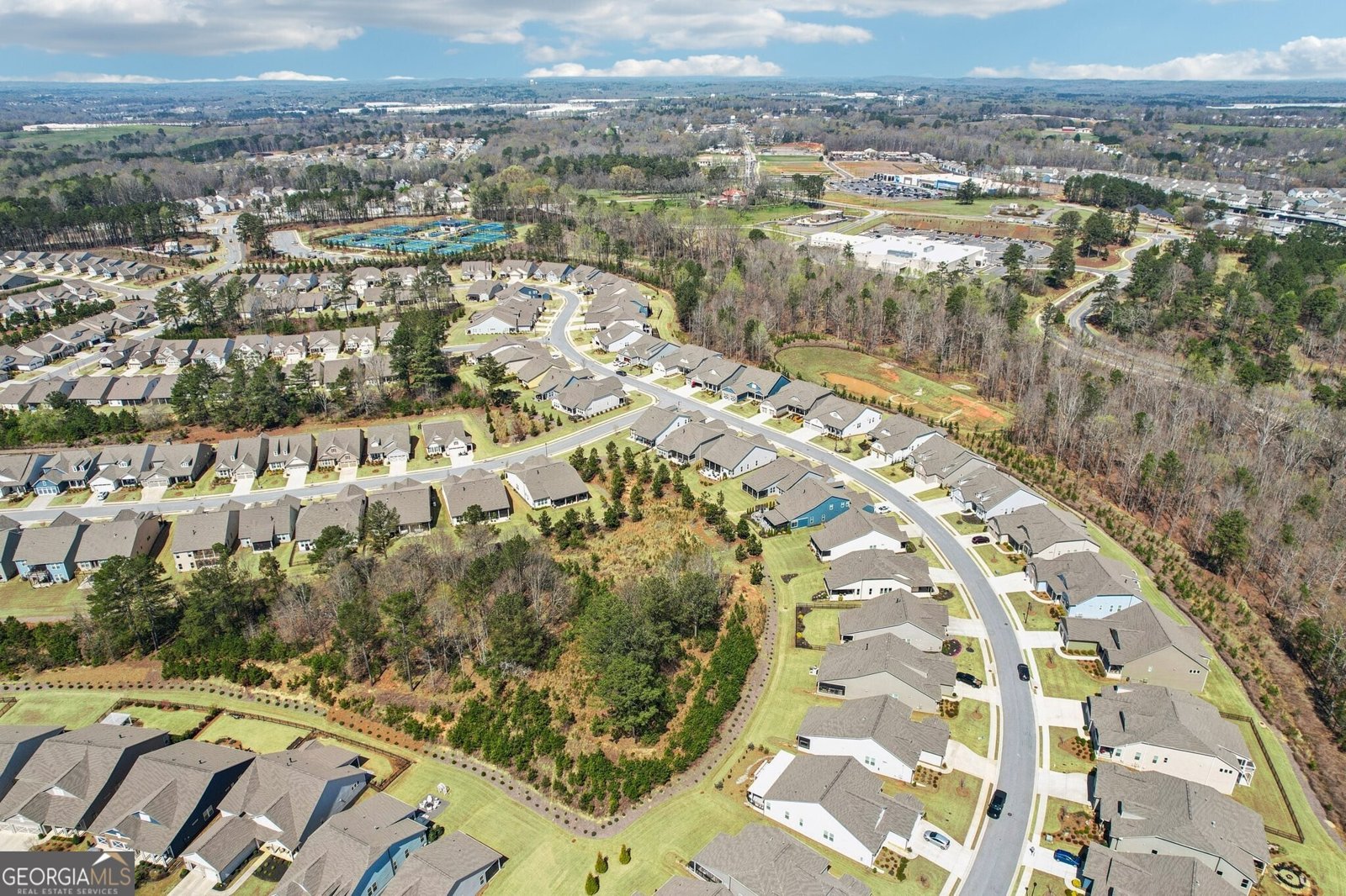 419 Ontario Lane Hoschton - Photo 73