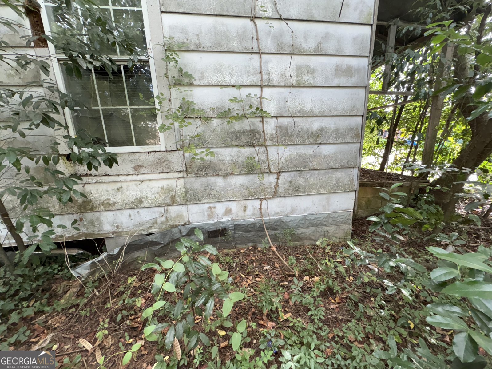 930 Ash Street Dawson - Photo 12