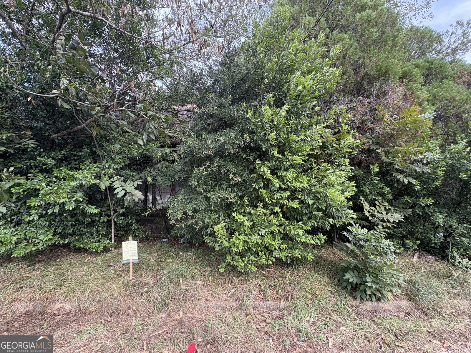 930 Ash Street Dawson - Photo 14