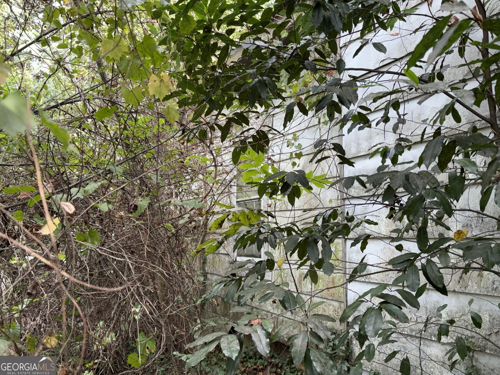 930 Ash Street Dawson - Photo 30