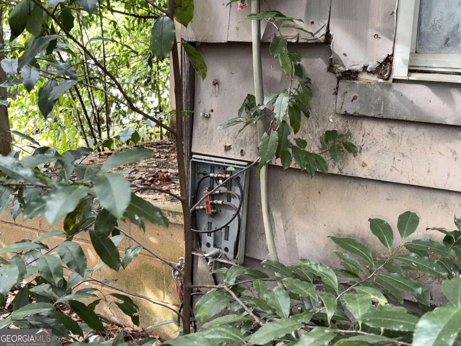 930 Ash Street Dawson - Photo 6