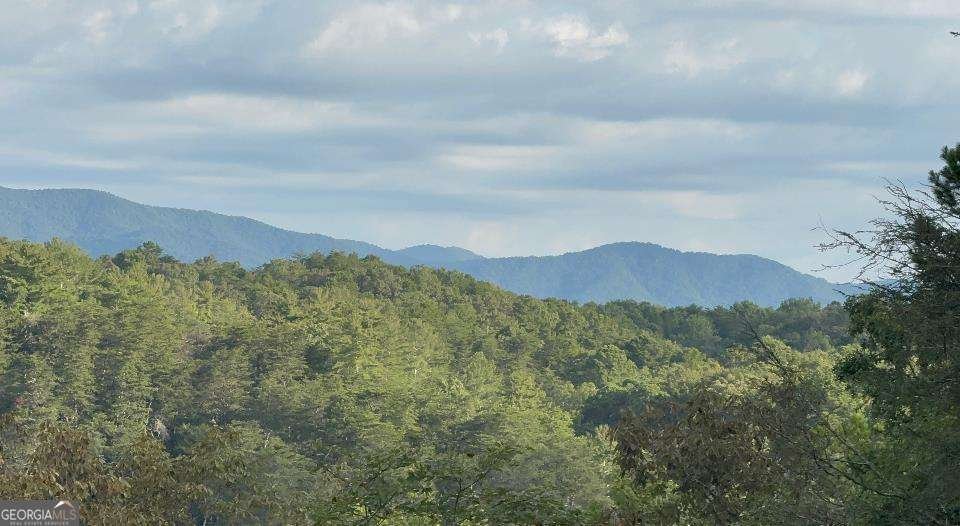 63 Granny Smith Lane Ellijay - Photo 10