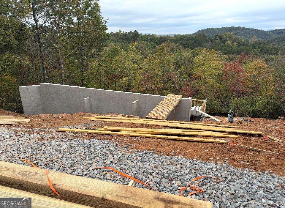 63 Granny Smith Lane Ellijay - Photo 18