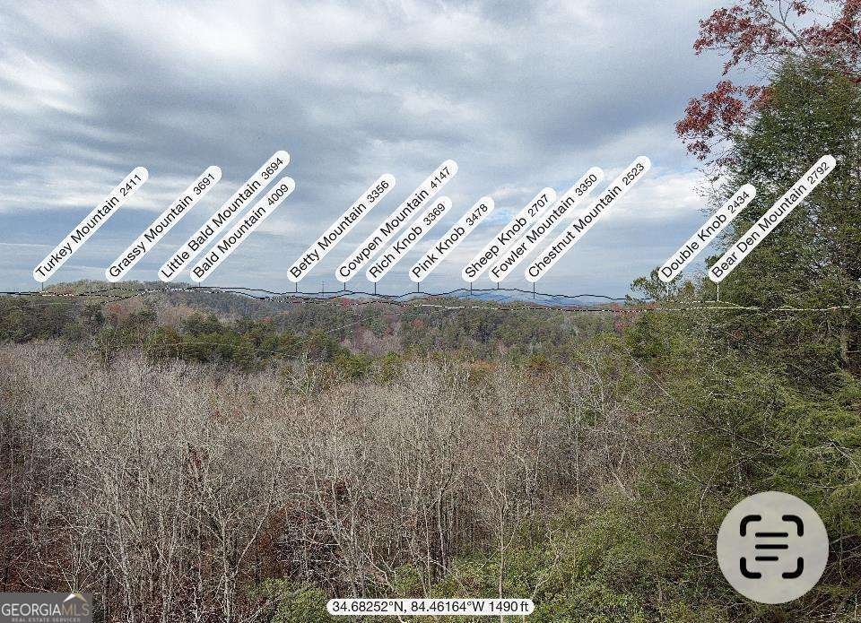 63 Granny Smith Lane Ellijay - Photo 19