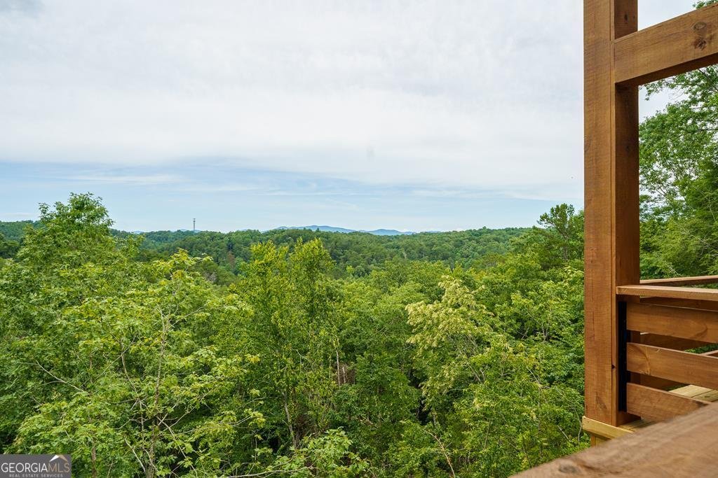 63 Granny Smith Lane Ellijay - Photo 34