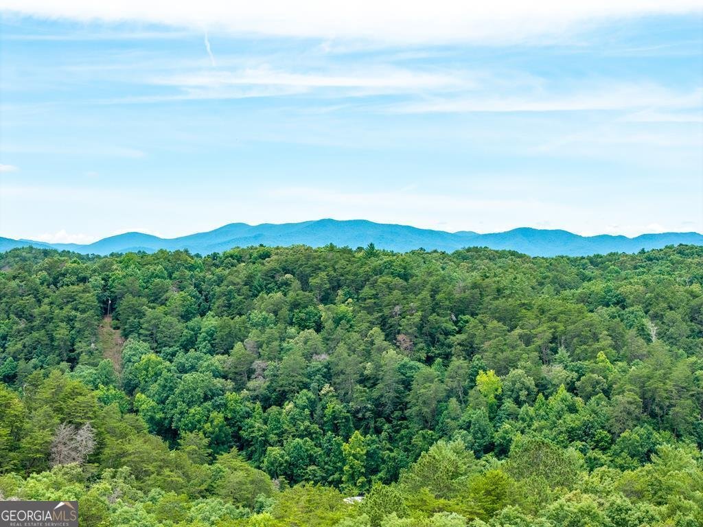 63 Granny Smith Lane Ellijay - Photo 76