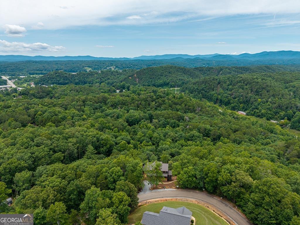 63 Granny Smith Lane Ellijay - Photo 83