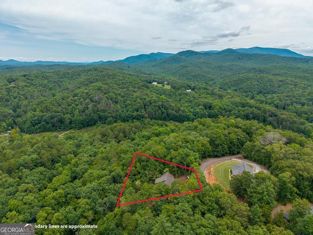 63 Granny Smith Lane Ellijay - Photo 84