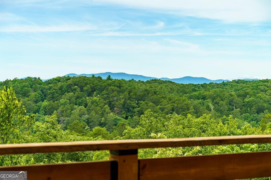 63 Granny Smith Lane Ellijay - Photo 85