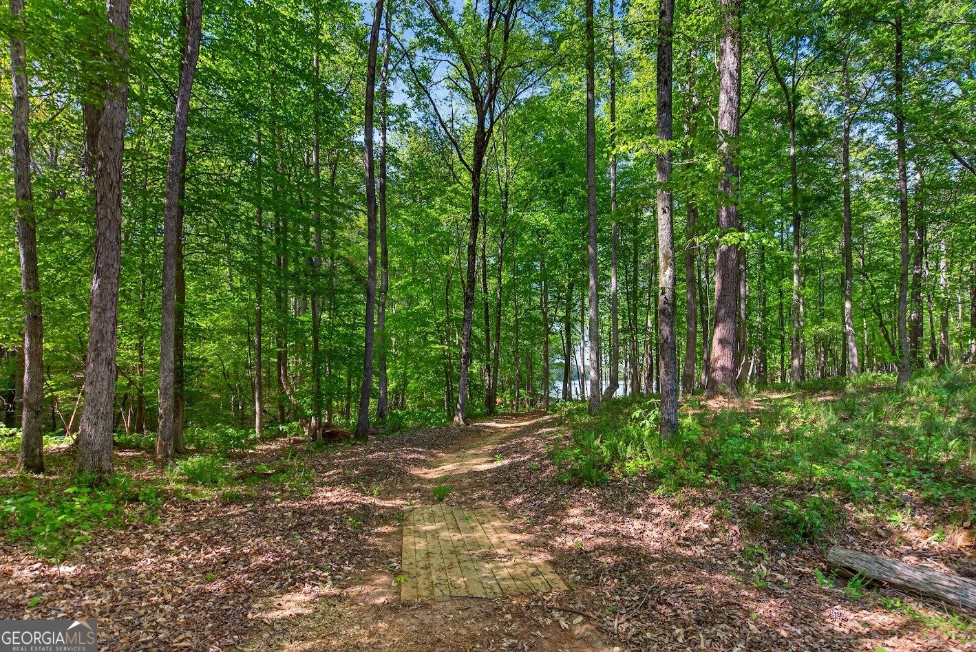 205 River Oaks Drive Lagrange - Photo 52