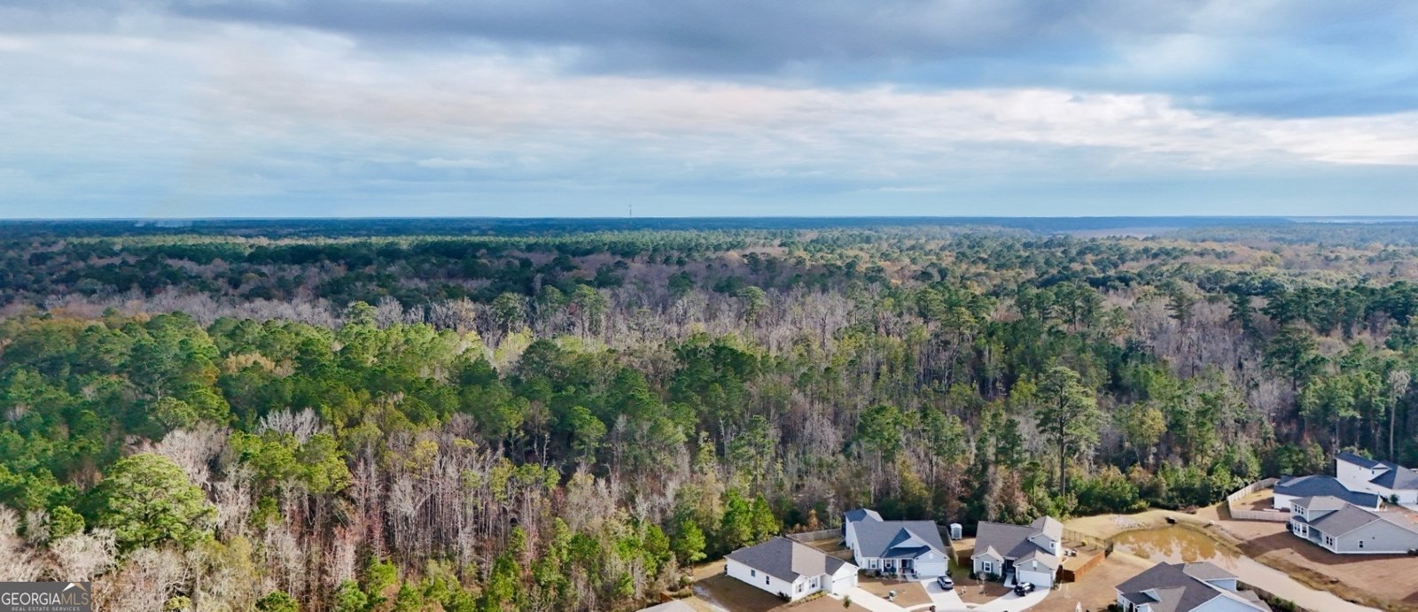 399 Beecher Drive Richmond Hill - Photo 58