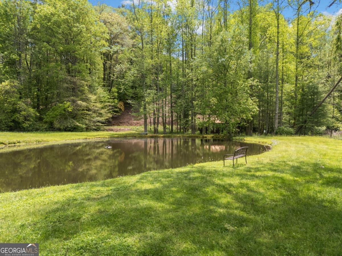 1172 Settlers Ridge Road Ellijay - Photo 24