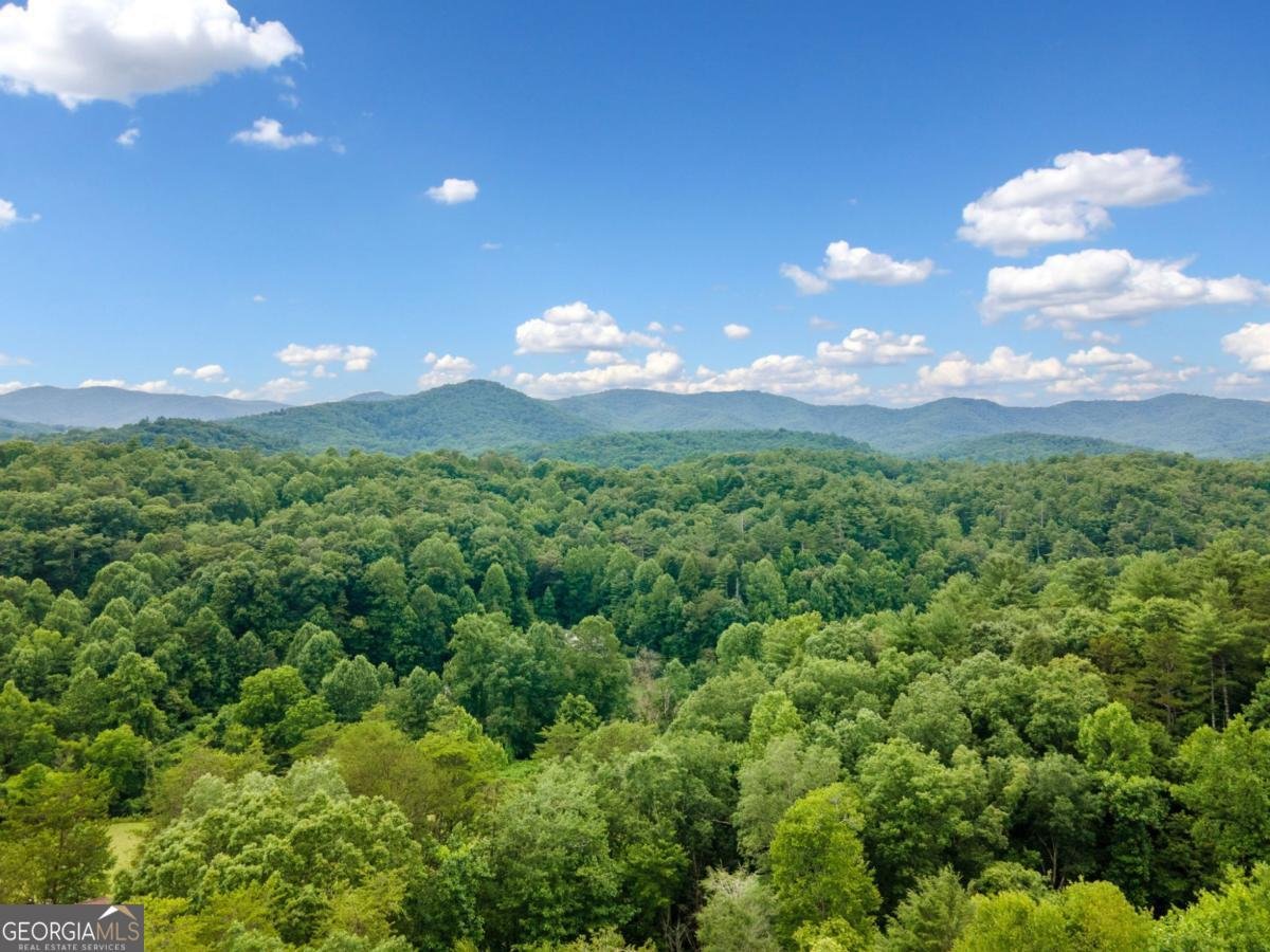 1172 Settlers Ridge Road Ellijay - Photo 42