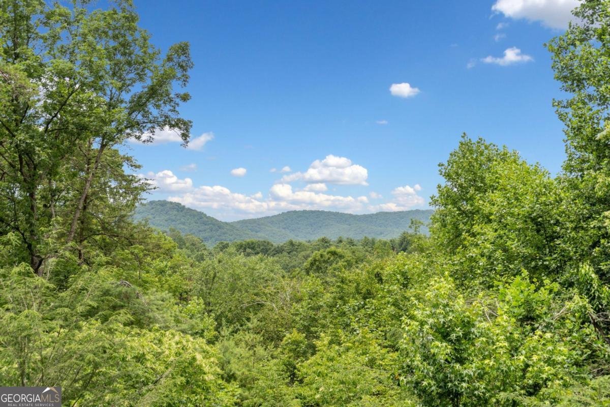 1172 Settlers Ridge Road Ellijay - Photo 44