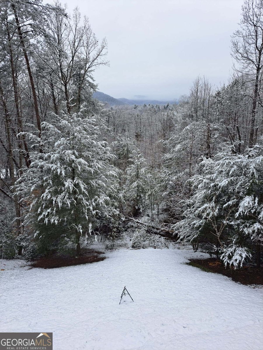 1172 Settlers Ridge Road Ellijay - Photo 45