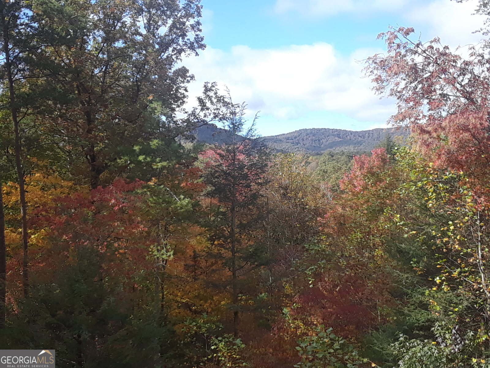 1172 Settlers Ridge Road Ellijay - Photo 47