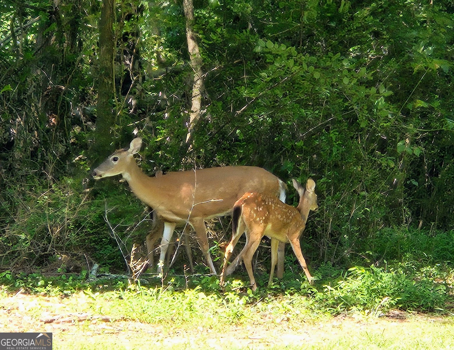 36 Fairway Lane Peachtree City - Photo 38