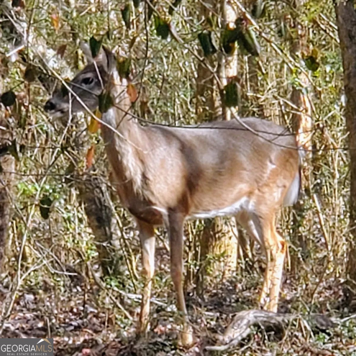 36 Fairway Lane Peachtree City - Photo 42