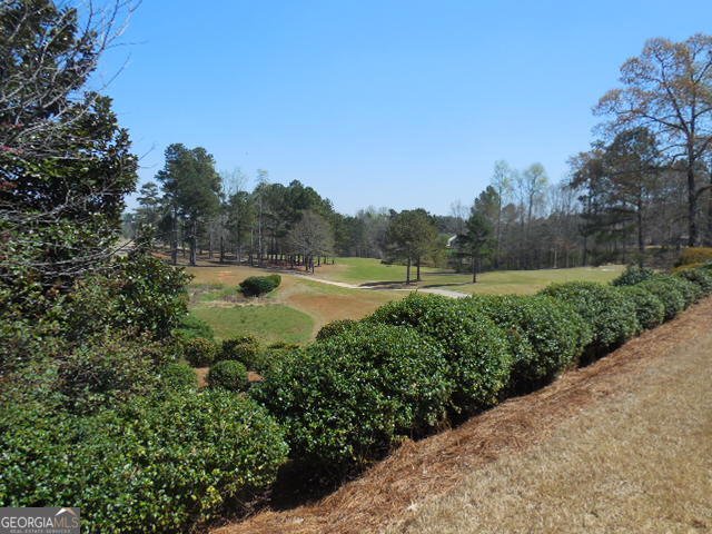 105 Champions Ct Griffin - Photo 9