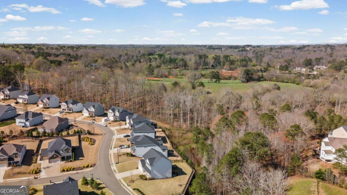 446 Greyfield Drive Canton - Photo 68