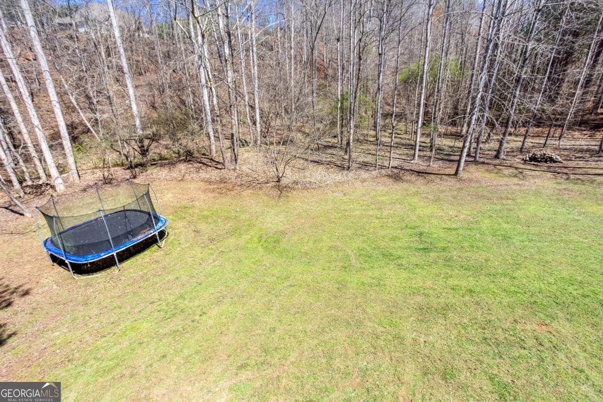 309 Hardwick Drive Canton - Photo 52