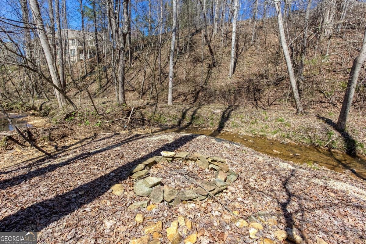 309 Hardwick Drive Canton - Photo 53