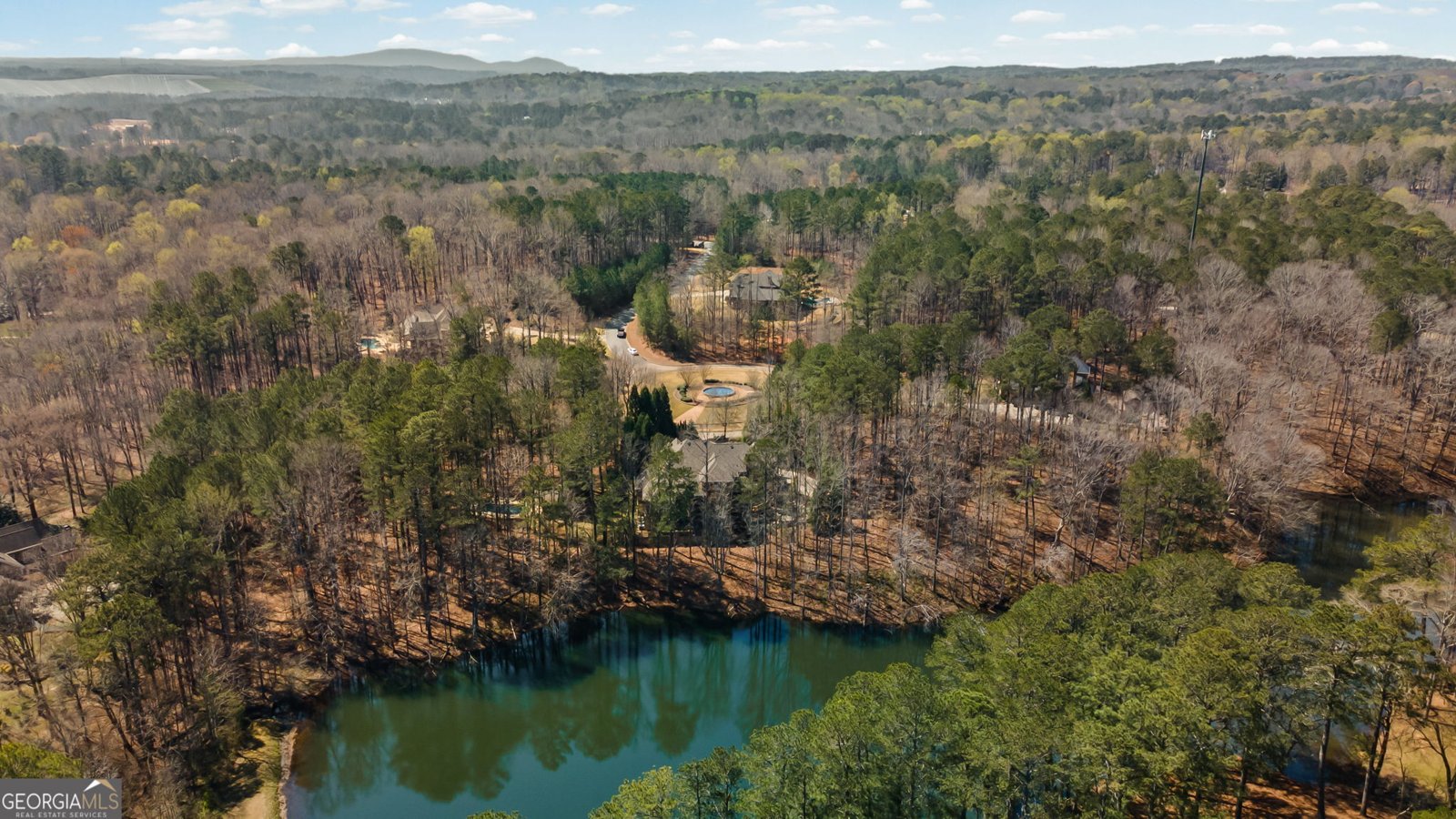 108 Waters Edge Drive Woodstock - Photo 93