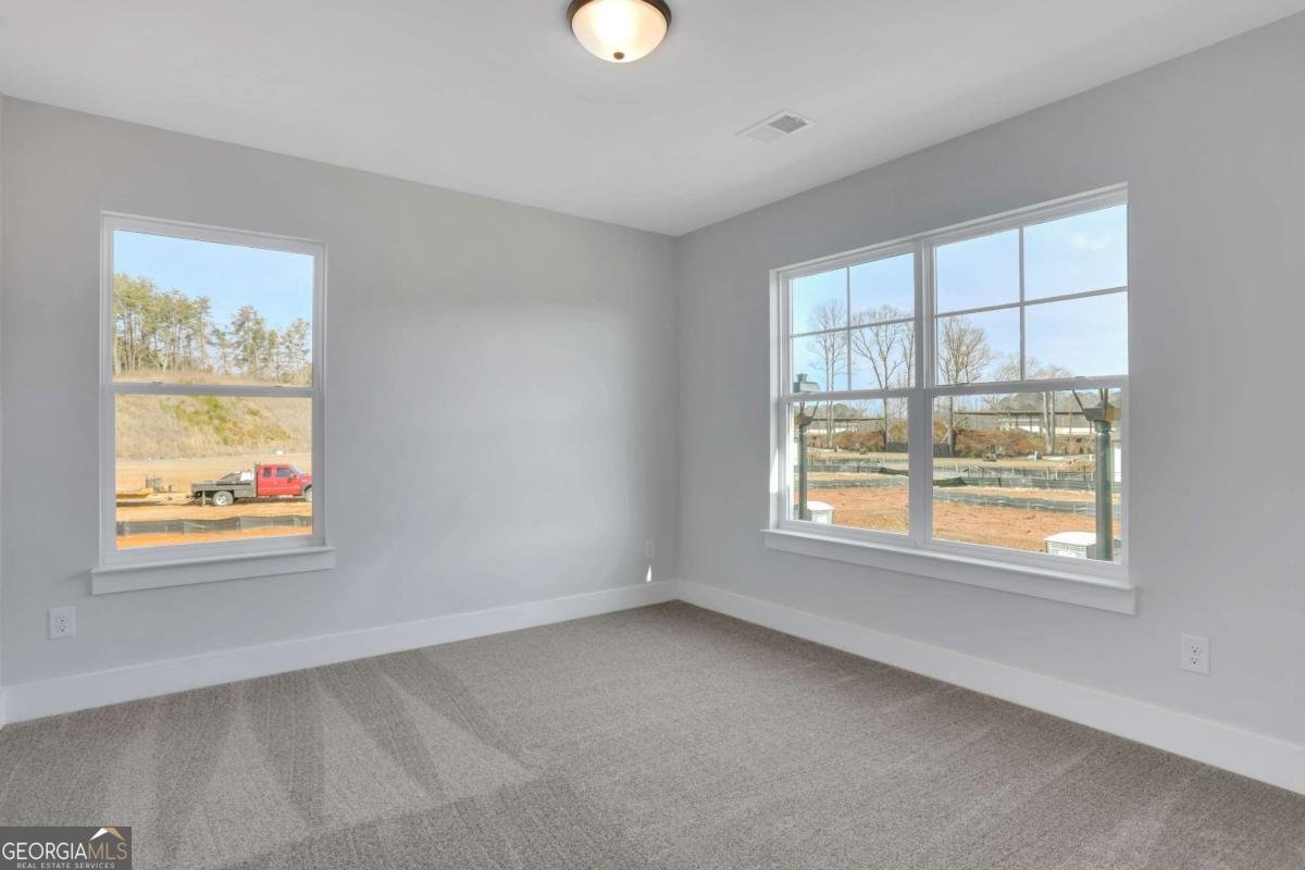 139 Marble Tree Way Ball Ground - Photo 31