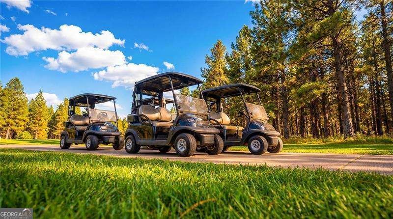 39 Sweet Rose Court Newnan - Photo 14