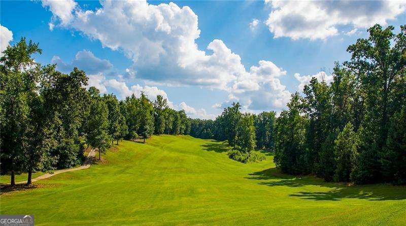 39 Sweet Rose Court Newnan - Photo 19