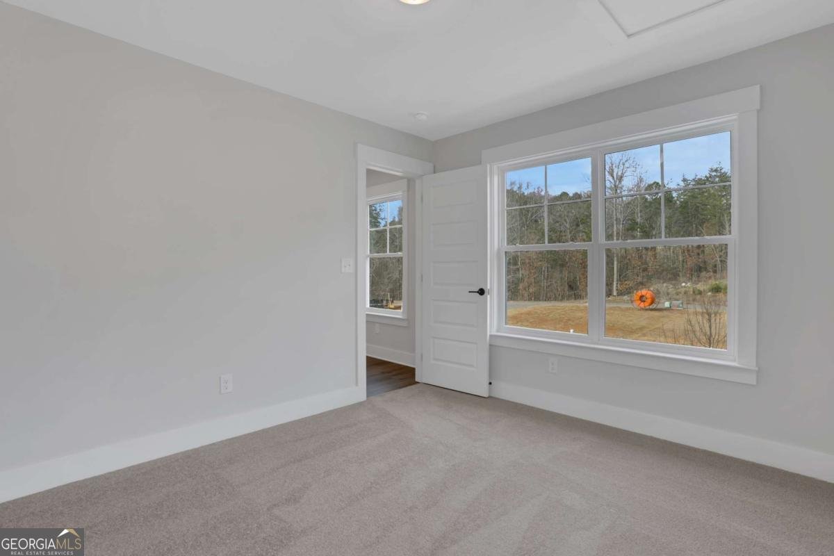 138 Marble Tree Way Ball Ground - Photo 42