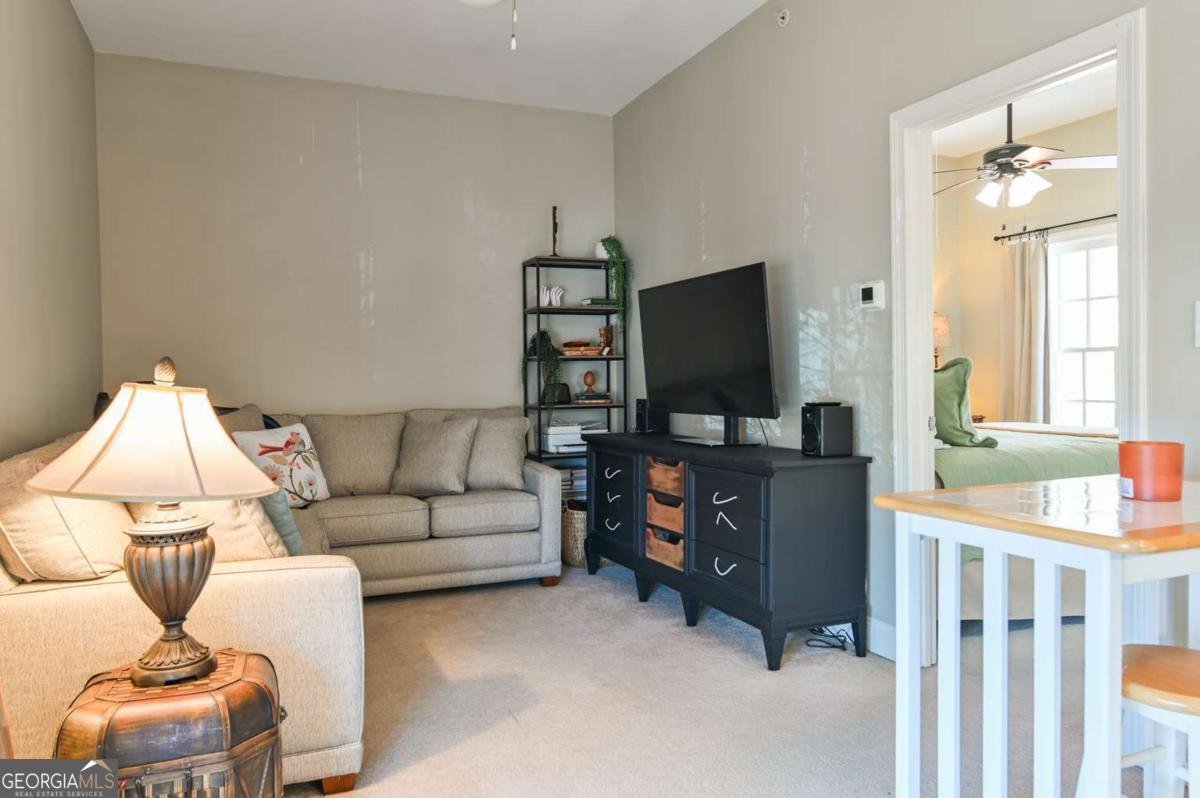 100 Ansonborough Lane Athens - Photo 57