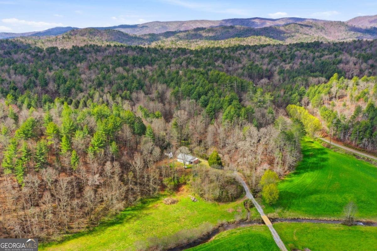 229 Seth Hyatt Road Ellijay - Photo 15