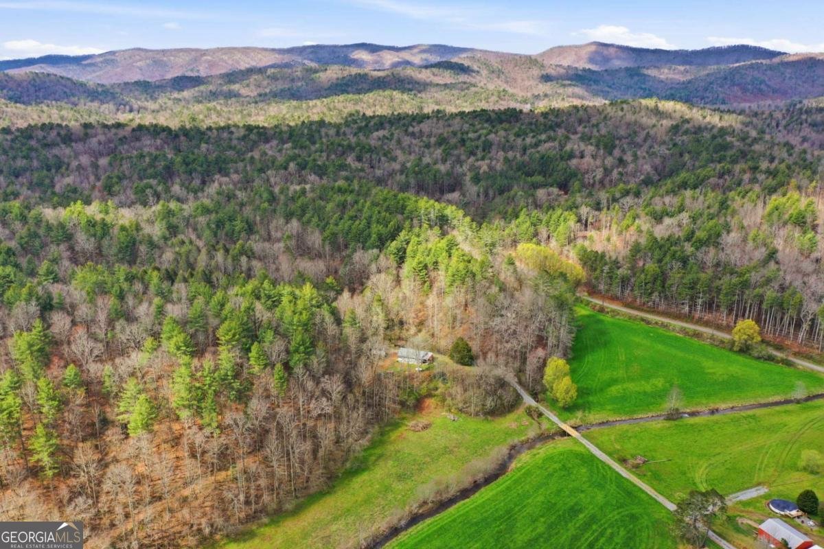 229 Seth Hyatt Road Ellijay - Photo 16