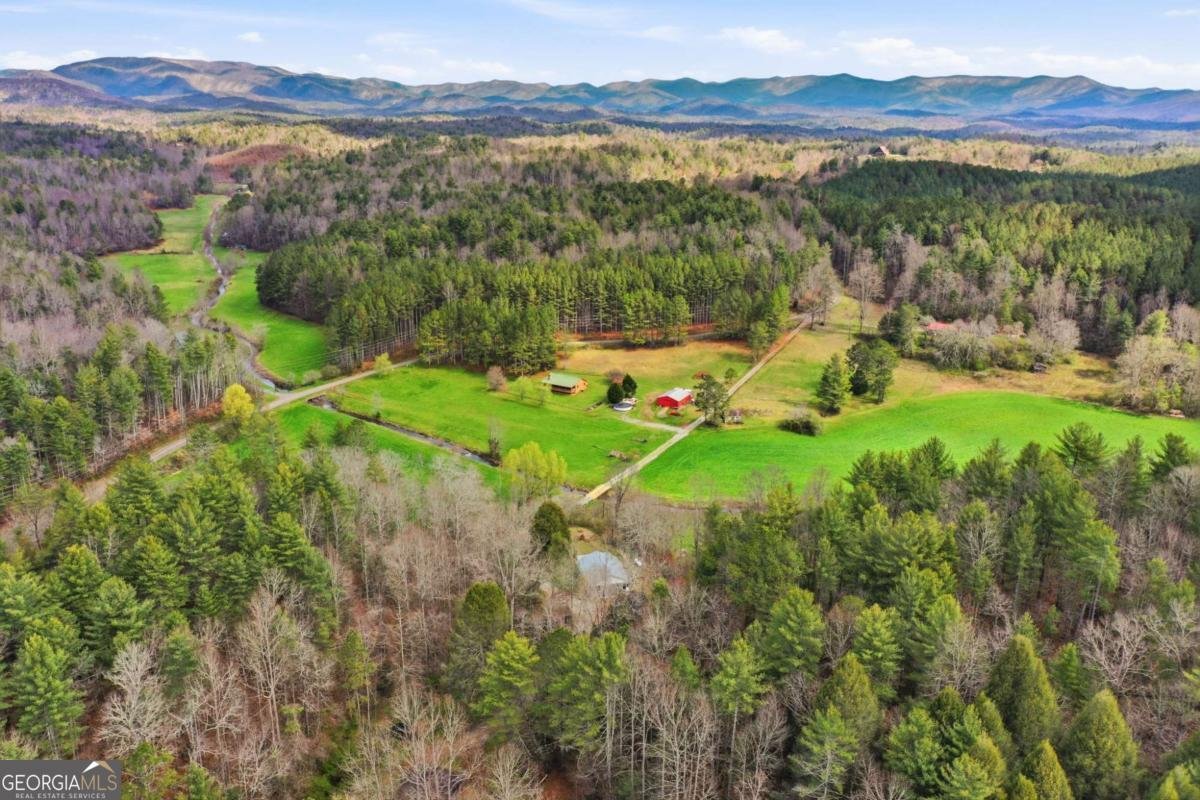 229 Seth Hyatt Road Ellijay - Photo 24